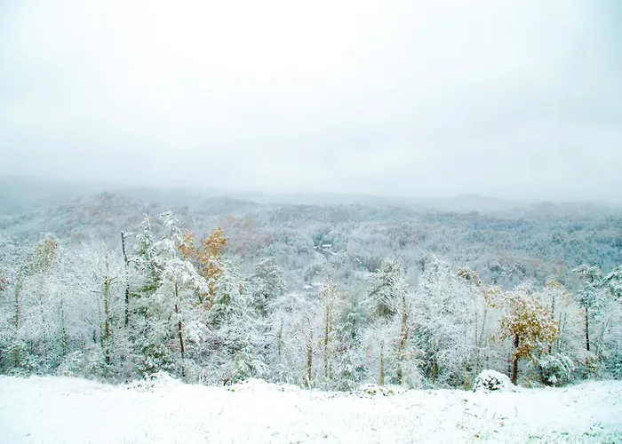 Leconte Mountain Breeze